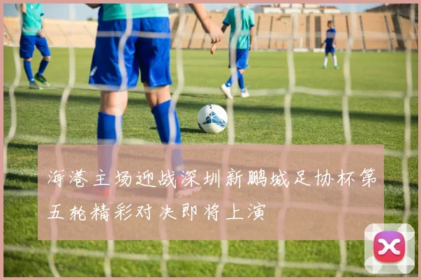 海港主场迎战深圳新鹏城足协杯第五轮精彩对决即将上演