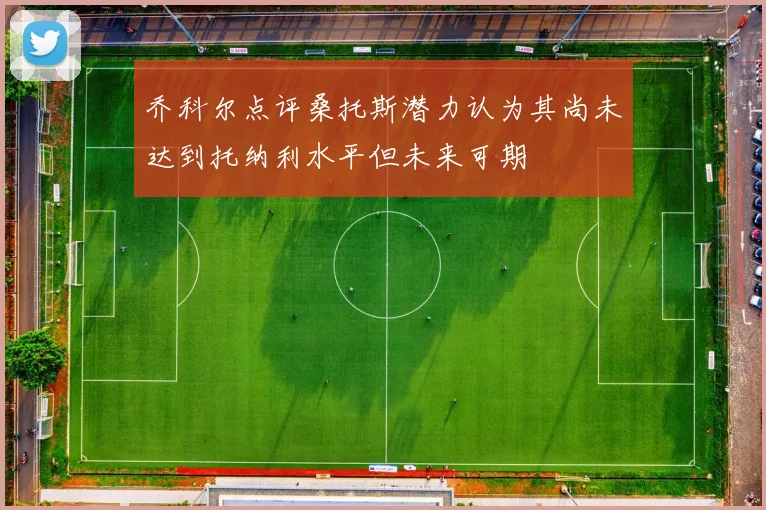 乔科尔点评桑托斯潜力认为其尚未达到托纳利水平但未来可期
